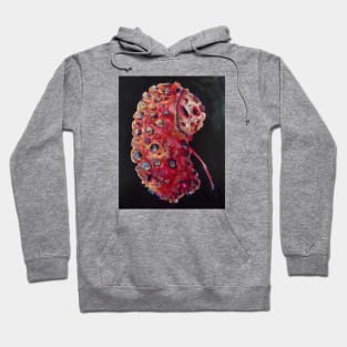 kidney disease Hoodie